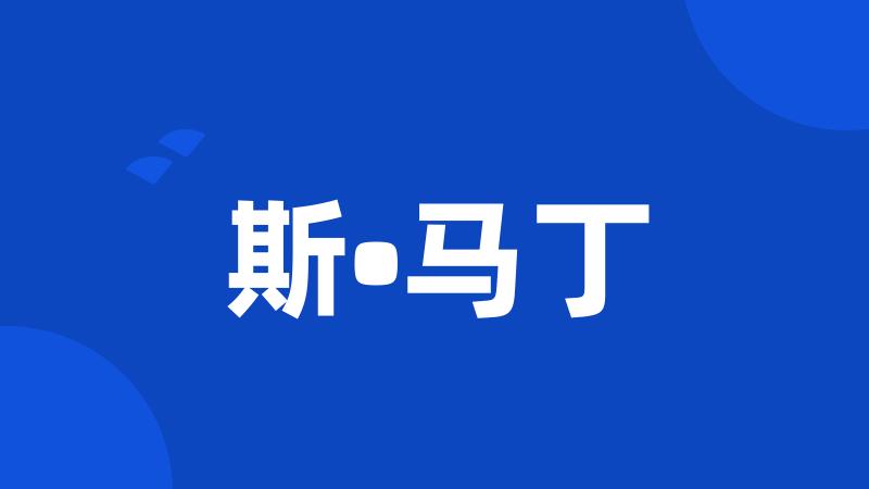 斯•马丁