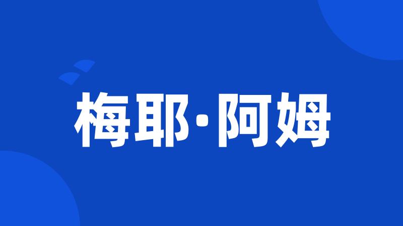 梅耶·阿姆
