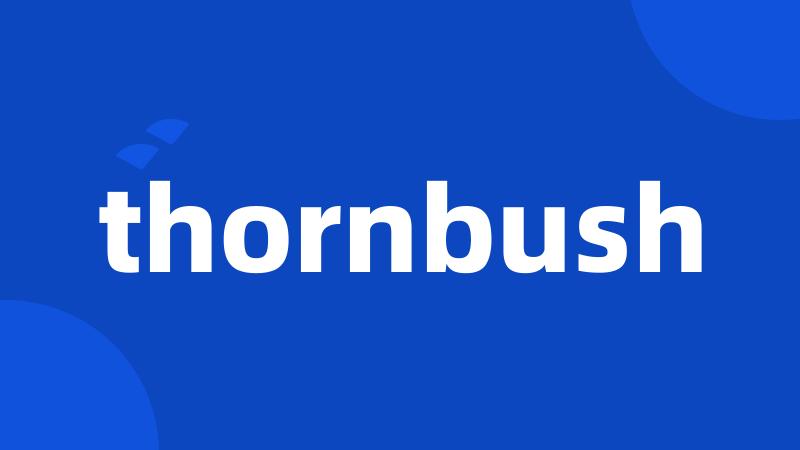 thornbush