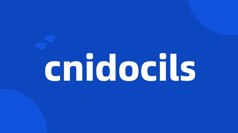 cnidocils