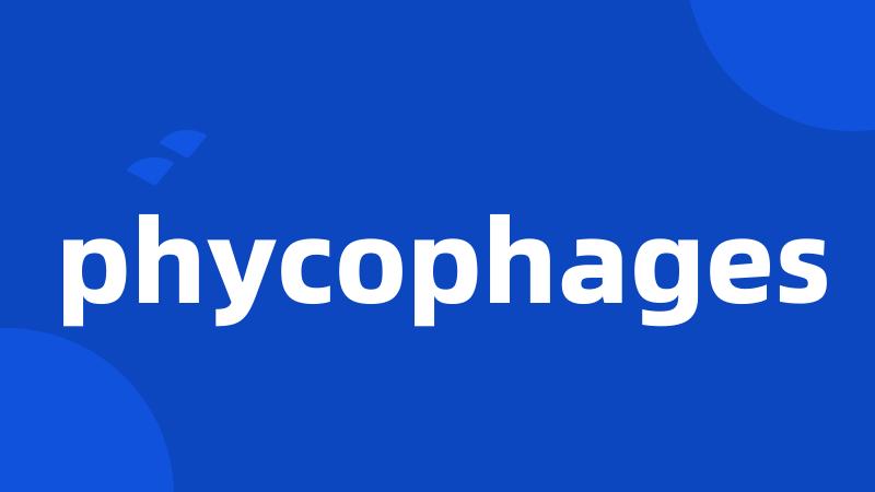 phycophages