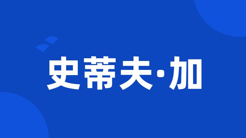 史蒂夫·加