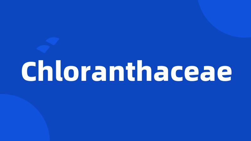 Chloranthaceae