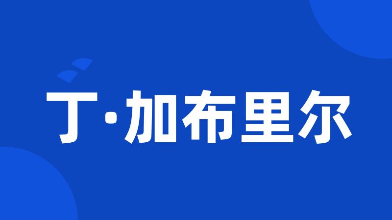 丁·加布里尔