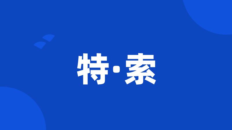 特·索