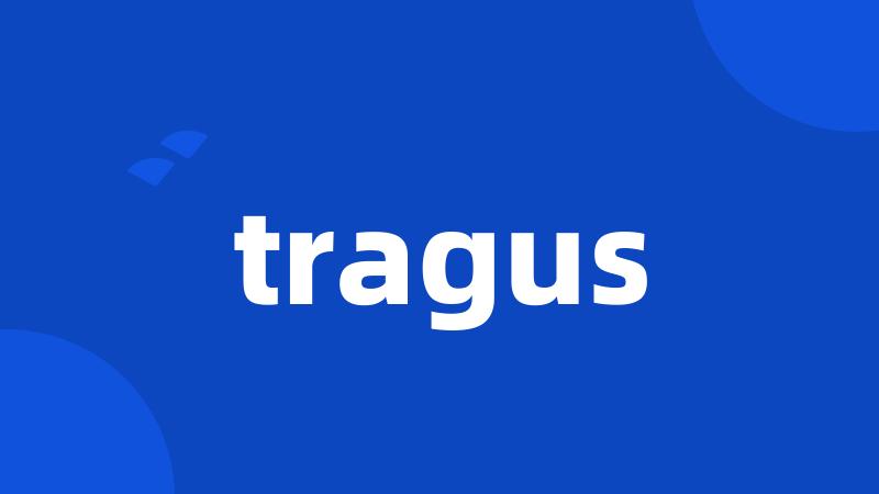 tragus