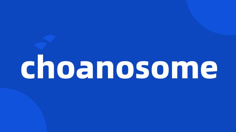 choanosome