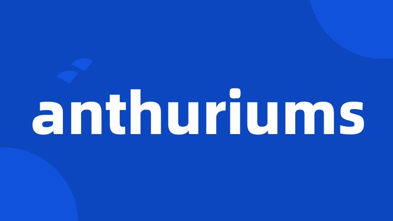 anthuriums
