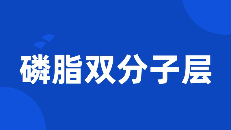 磷脂双分子层