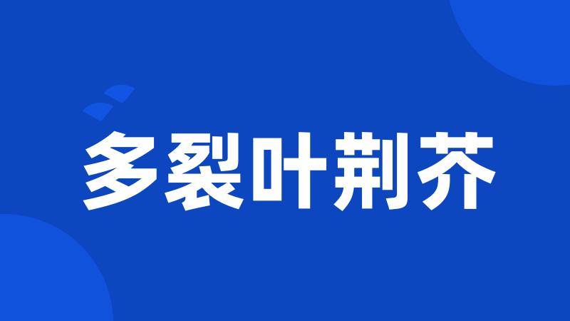 多裂叶荆芥