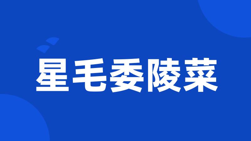 星毛委陵菜