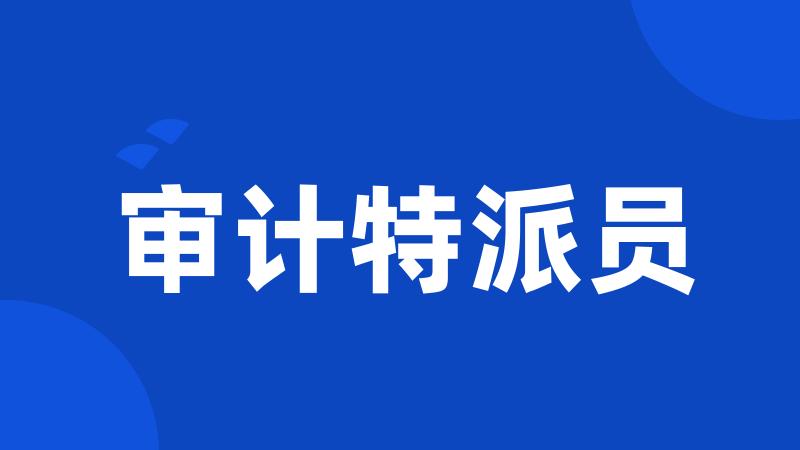 审计特派员