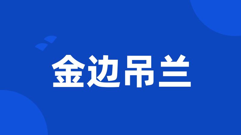 金边吊兰