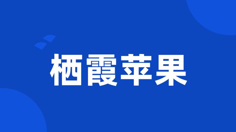 栖霞苹果