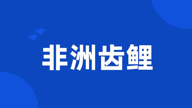 非洲齿鲤