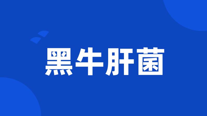 黑牛肝菌