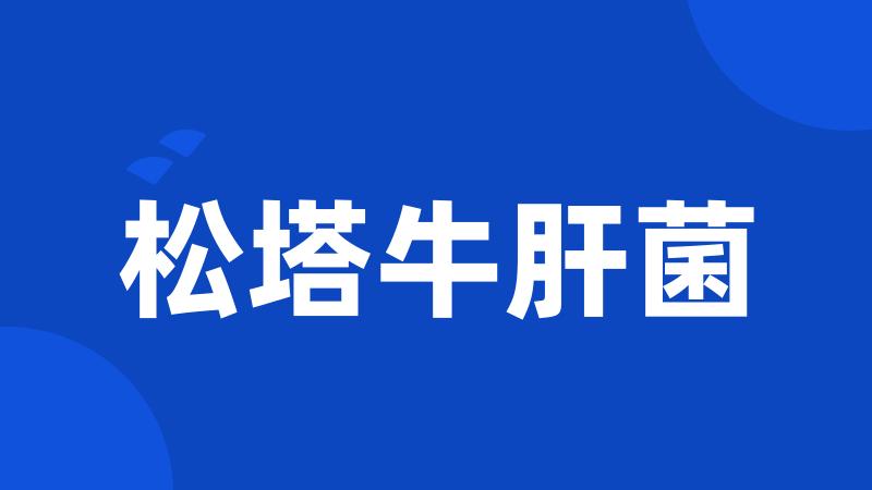 松塔牛肝菌
