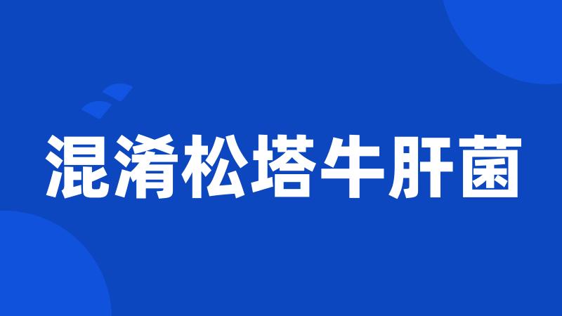 混淆松塔牛肝菌