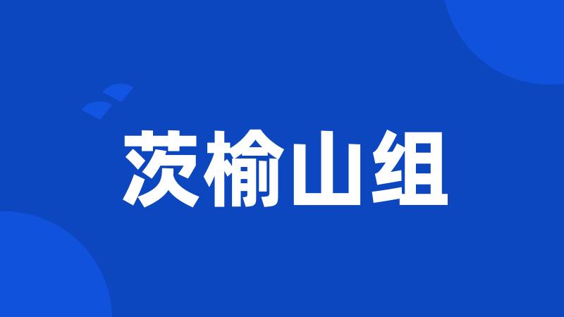 茨榆山组