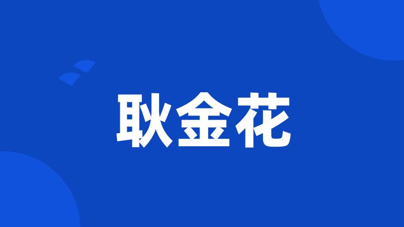 耿金花
