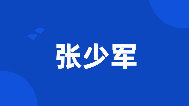 张少军