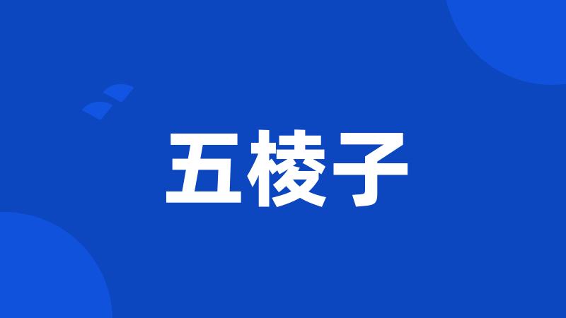 五棱子
