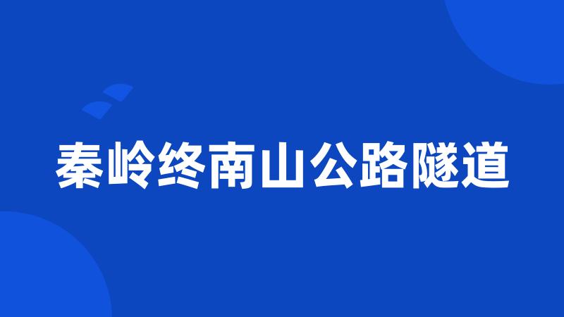 秦岭终南山公路隧道