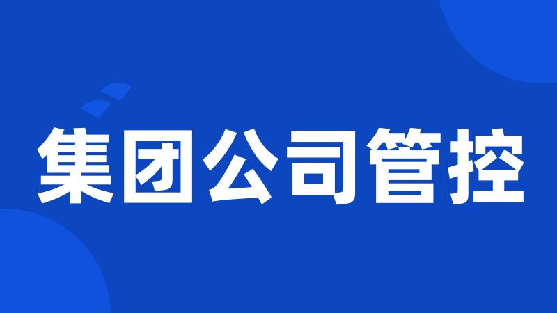 集团公司管控