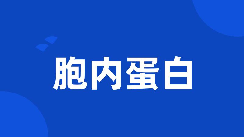 胞内蛋白