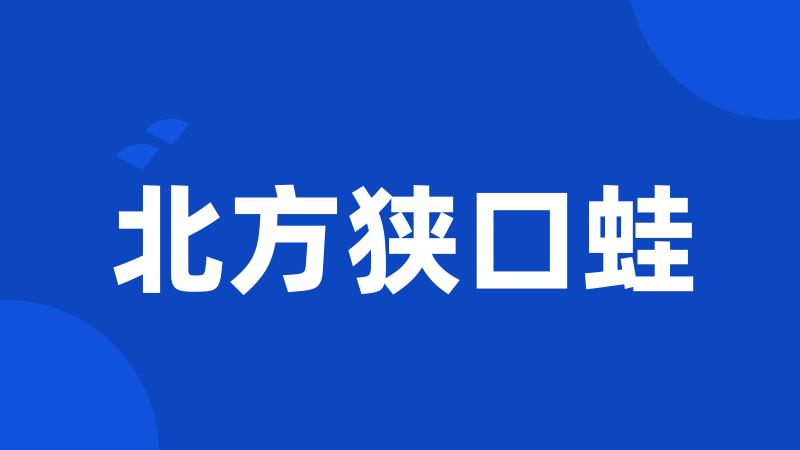 北方狭口蛙