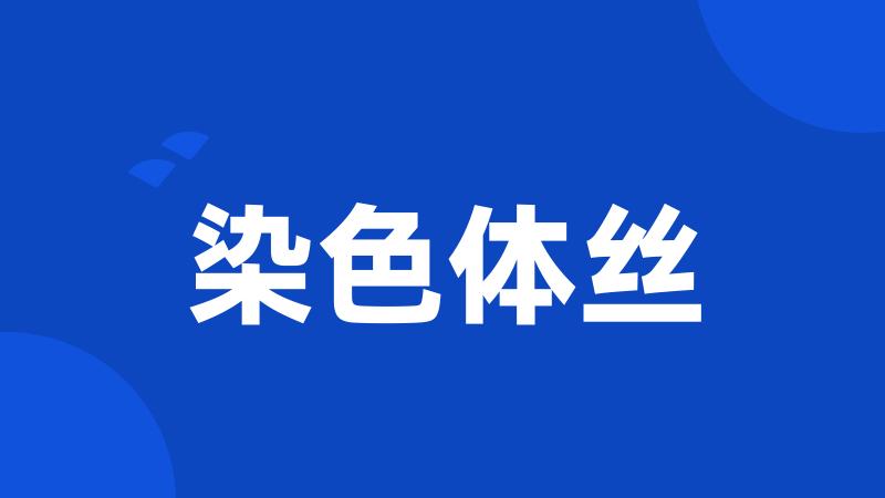 染色体丝