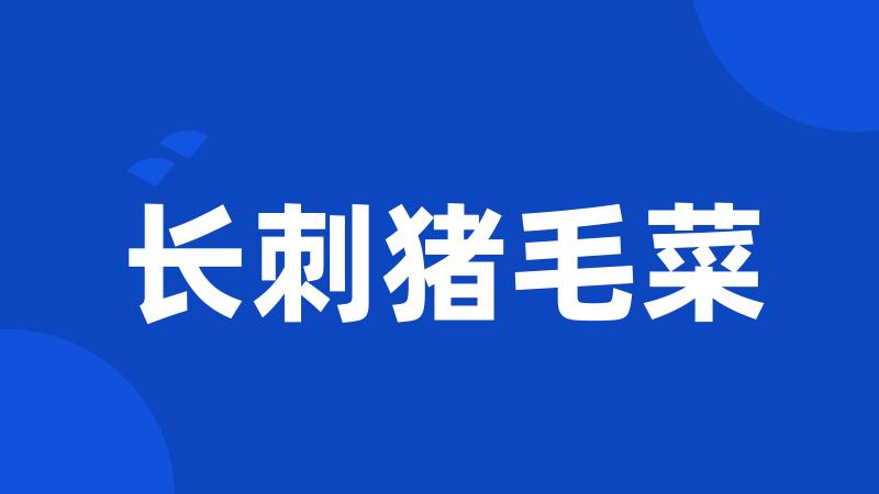 长刺猪毛菜