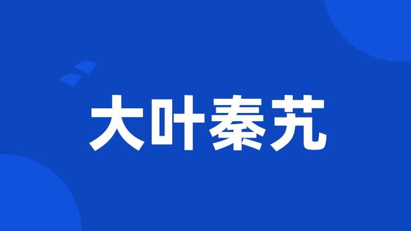 大叶秦艽