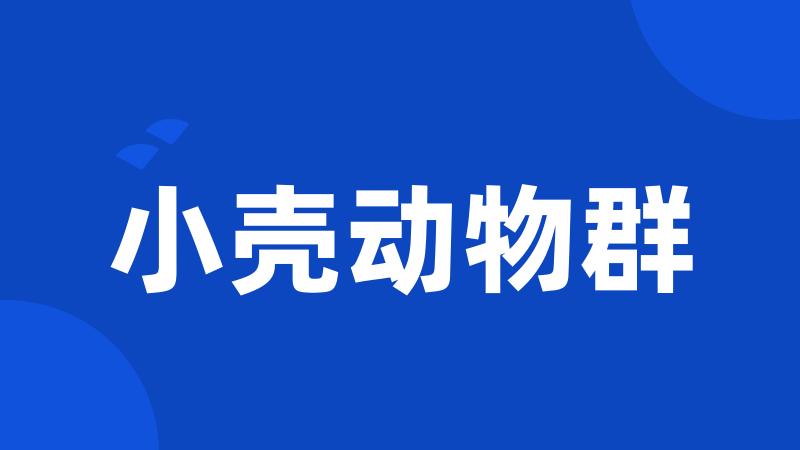 小壳动物群