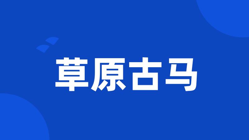 草原古马