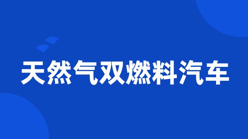 天然气双燃料汽车