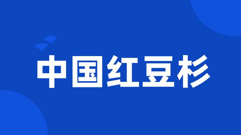 中国红豆杉