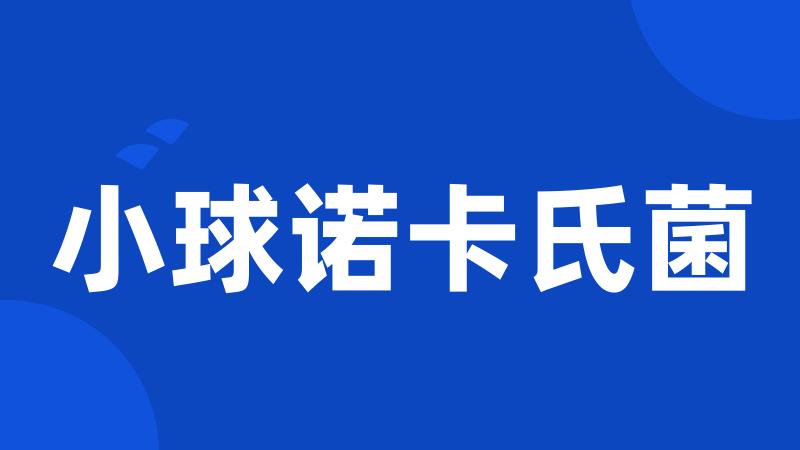 小球诺卡氏菌