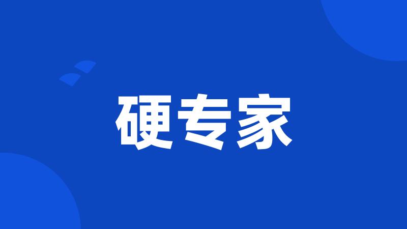 硬专家