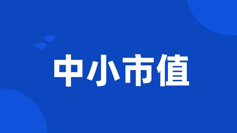 中小市值