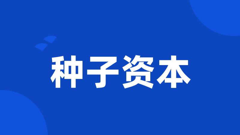 种子资本
