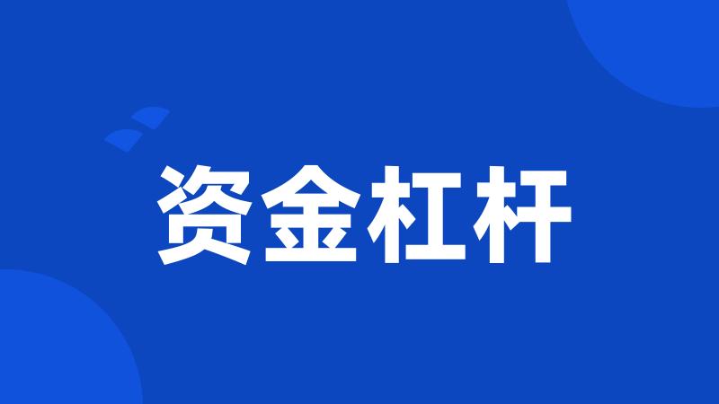 资金杠杆
