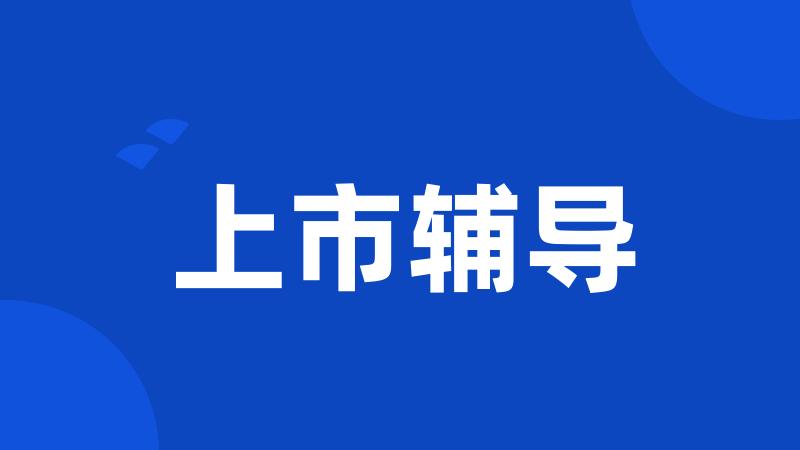 上市辅导