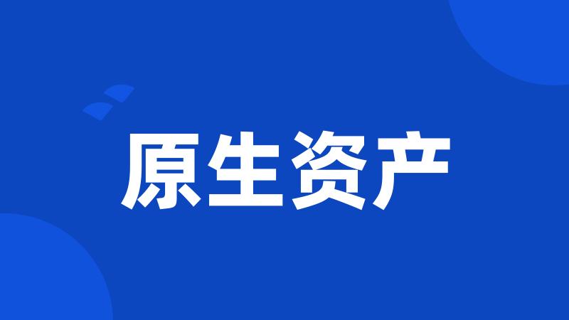 原生资产