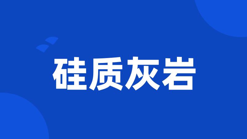 硅质灰岩