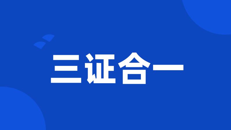 三证合一