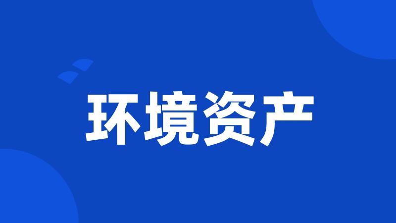 环境资产