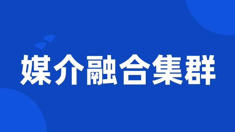 媒介融合集群