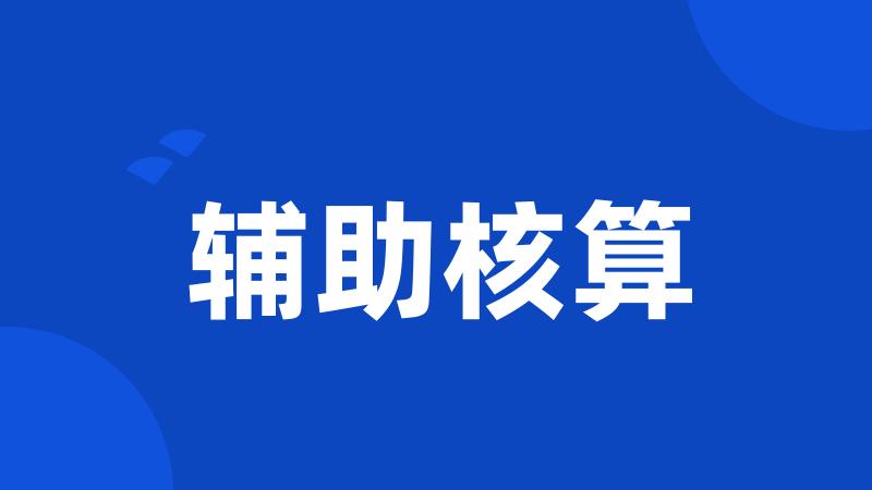 辅助核算