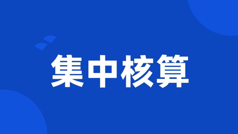 集中核算